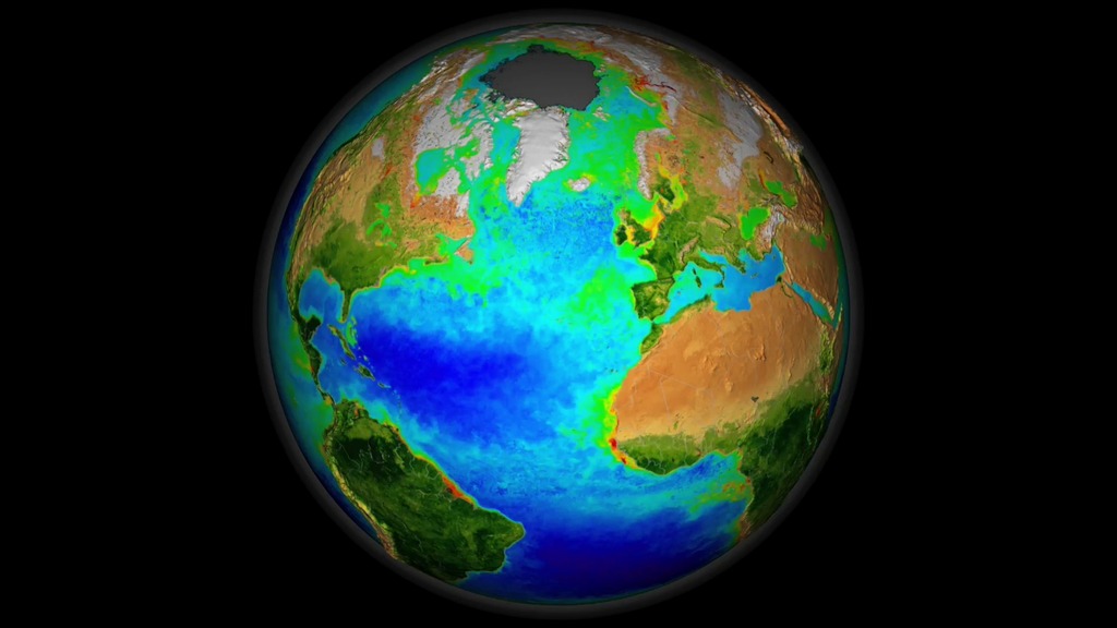 LEAD: NASA is on a mission to probe the lifecycle of plankton, especially the effects on clouds and climate.1: Plankton are the tiniest of sea creatures, but when they multiply in what's called a 'bloom' they can be seen from space. 2: Using satellites, planes and ships NASA's 5-year mission will explore the complete life cycle of plankton. 3: Of special interest is how plankton help produce minute particles in the air that initiate  cloud formation.TAG: The indirect effects of tiny particles on clouds are the single largest uncertainty in current estimates of climate change warming models. 