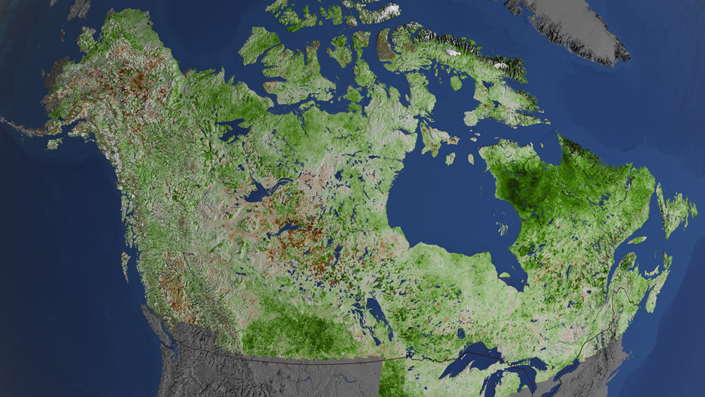 A NASA study provides the most detailed look yet at plant life across Alaska and Canada.