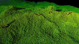 Link to Recent Story entitled: 3-D Views of Puerto Rico's Forests After Hurricane Maria