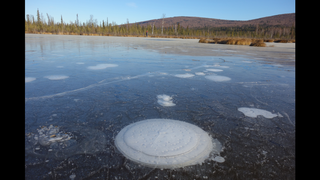 Link to Recent Story entitled: Arctic Bubbles