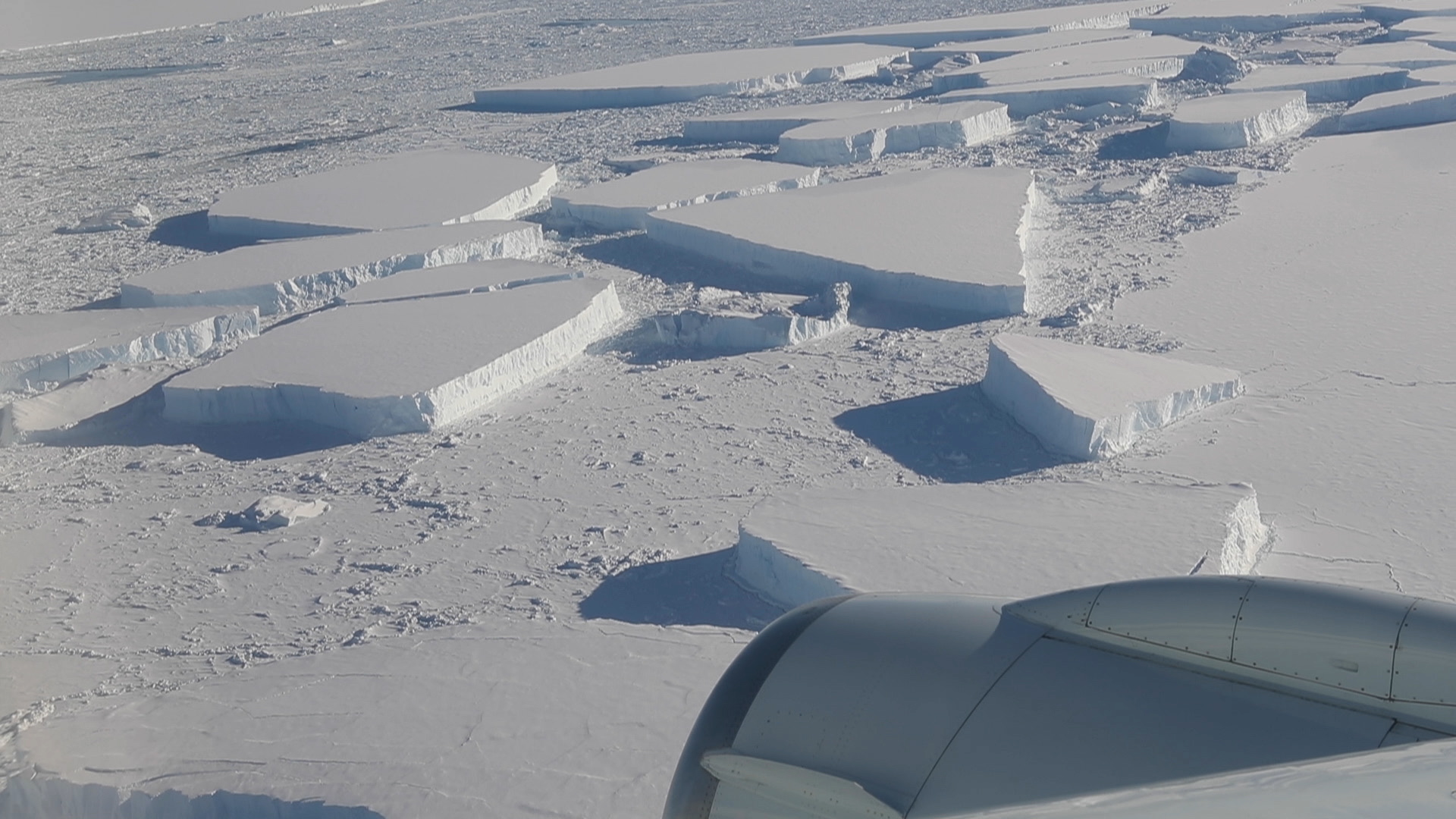 The rectangular iceberg appeared to be freshly calved from Larsen C, which in July 2017 released the massive A68 iceberg, a chunk of ice about the size of the state of Delaware.NOTE: The audio on this clip varies widely and includes loud aircraft noise. We advise turning down/off sound when previewing this item.
