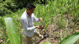 Link to Recent Story entitled: NASA Satellites Help Farmers in Central America's Dry Corridor