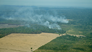 Preview Image for Tracking Amazon Deforestation