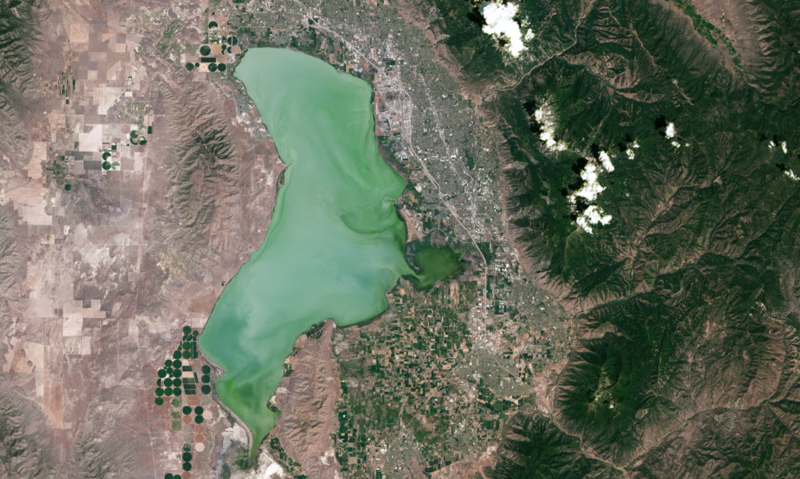 From space, satellites including the NASA and U.S. Geological Survey’s (USGS) Landsat 8 can help scientists identify lakes where an algal bloom has formed. It’s a complicated data analysis process, but one that researchers are automating so resource managers around the country can use the satellite data to identify potential problems.Music: Light From Dark by Adam Salkedi, Neil Pollard [PRS], published by Atmosphere Music Ltd.; Experimental Design by Laurent Dury [SACEM], published by Koka Media; Against The Wall by Benjamin Peter McAvoy [PRS], published by Sound Pocket Music; Brainstorming by Laurent Dury[SACEM], published by Koka Media; Together As One by Le Fat Club [SACEM], Olivier Grim [SACEM]; published by Koka Media.Complete transcript available.Watch this video on the NASA Goddard YouTube channel.