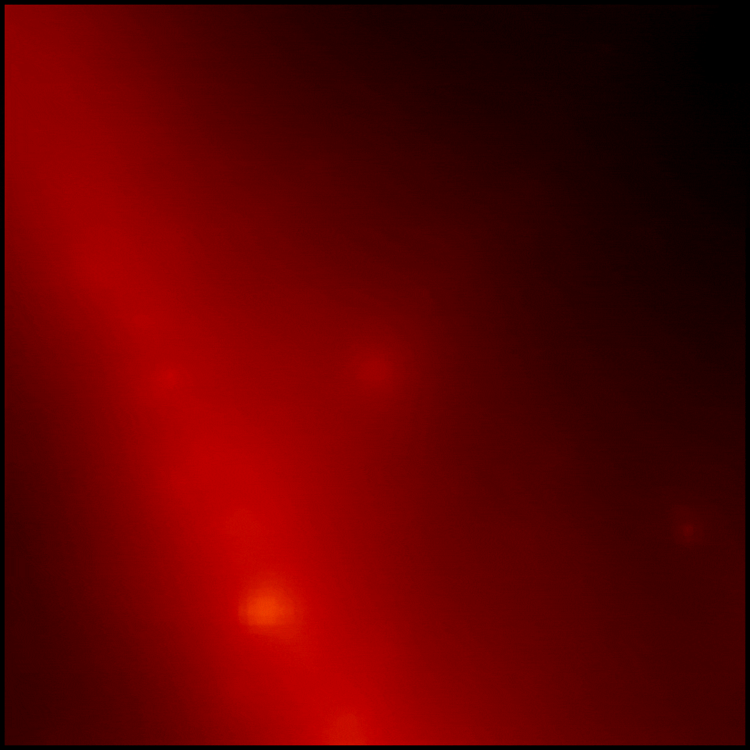 This sequence constructed from Fermi Large Area Telescope data reveals the sky in gamma rays centered on the location of GRB 221009A. Each frame shows gamma rays with energies greater than 100 million electron volts (MeV), where brighter colors indicate a stronger gamma-ray signal. In total, they represent more than 10 hours of observations. The glow from the midplane of our Milky Way galaxy appears as a wide diagonal band. The image is about 20 degrees across.Credit: NASA/DOE/Fermi LAT Collaboration