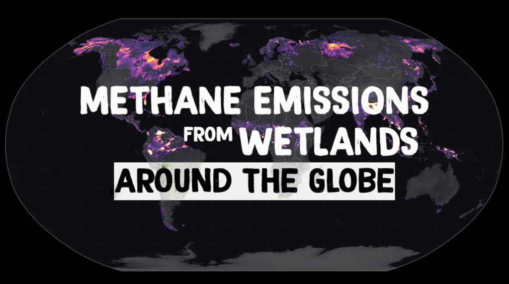 Complete transcript available.Methane is an important greenhouse gas that contributes substantially to global warming. On a molecule by molecule basis, methane is much more efficient at trapping heat than carbon dioxide, the main driver of warming. Though human activities, including agriculture, oil and natural gas production and use, and waste disposal, collectively contribute the majority of methane to the atmosphere, about a third of total methane emissions comes from wetlands. Wetland habitats are filled with things like waterlogged soils and permafrost, which makes them sizable carbon sinks. However, as the climate changes, these carbon-rich soils are vulnerable to flooding and to rising temperatures, which can release more carbon to the atmosphere in the form of methane. Understanding methane emissions from natural sources like wetlands is critically important to scientists and policymakers who are working to ensure that changes in natural systems don’t counteract progress in combatting climate change made by reducing emissions from human activities.This animation shows estimates of wetland methane emissions produced by the Lund–Potsdam–Jena Dynamic Global Vegetation Model (LPJ-DGVM) Wald Schnee und Landscaft version (LPJ-wsl). LPJ-wsl is a prognostic model, meaning that it can be used to simulate future changes in wetland emissions and independently verified with remote sensing data products. The model includes a complex, topography dependent model of near surface hydrology, and a permafrost and dynamic snow model, allowing it to produce realistic distributions of inundated areas. Highlighted areas show concentrated methane sources from tropical and high latitude ecosystems. The LPJ-wsl model is regularly used in conjunction with NASA’s GEOS model to simulate the impact of wetlands and other methane sources on atmospheric methane concentrations, compare against satellite and airborne data, and to improve understanding and prediction of wetland emissions. Music credit: “Emerging Wave” from Universal Production Music