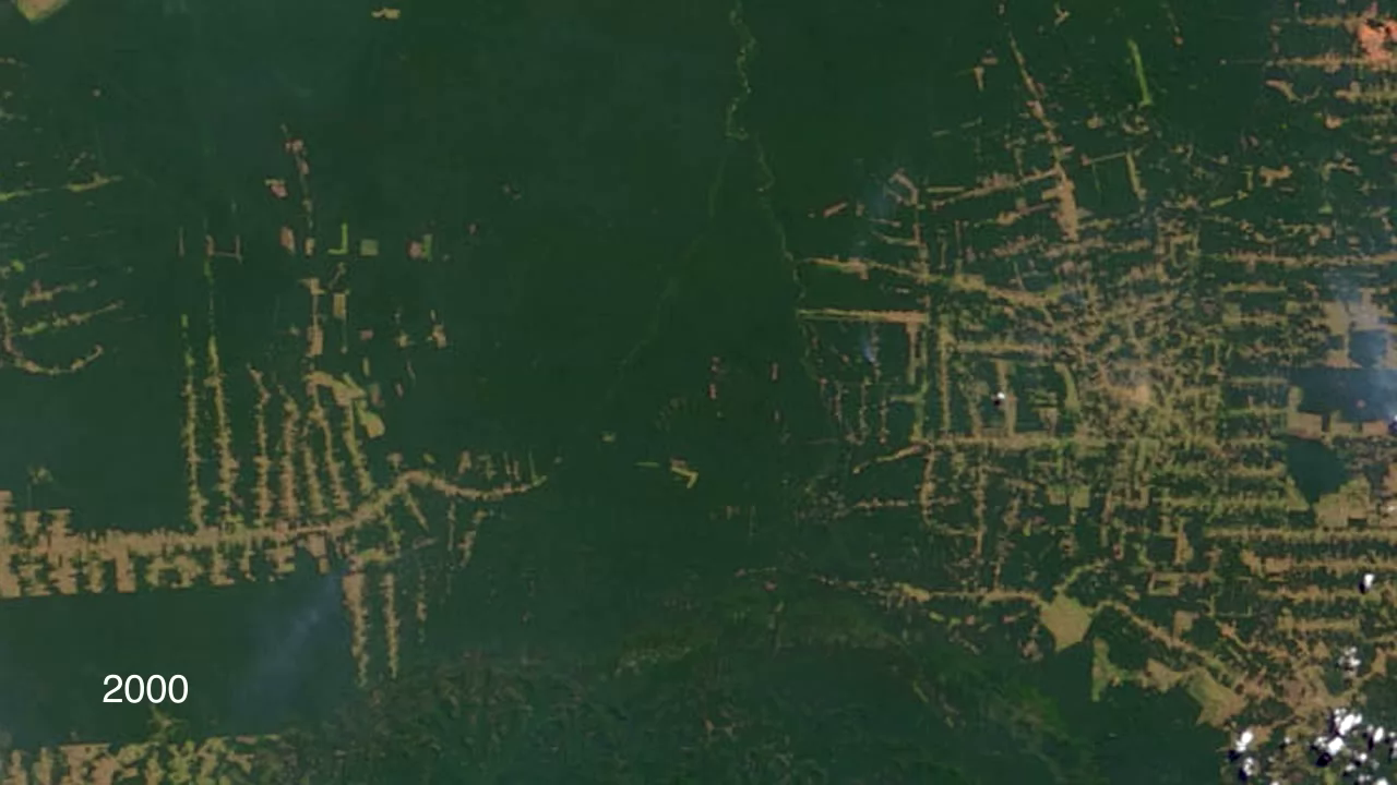 MODIS images of Amazon deforestation in Rondônia from 2000 to 2010.