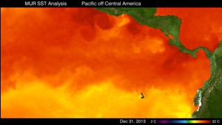 A high resolution view of SST in the Eastern Pacific