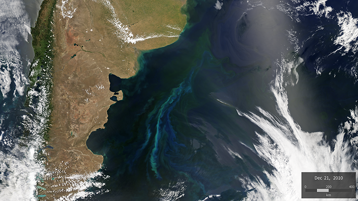 MODIS images show recurring coccolithophore bloom near the Patagonia Shelf
