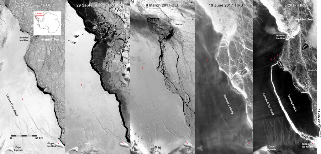 Evolution of Larsen C ice shelf leading up to and following the calving