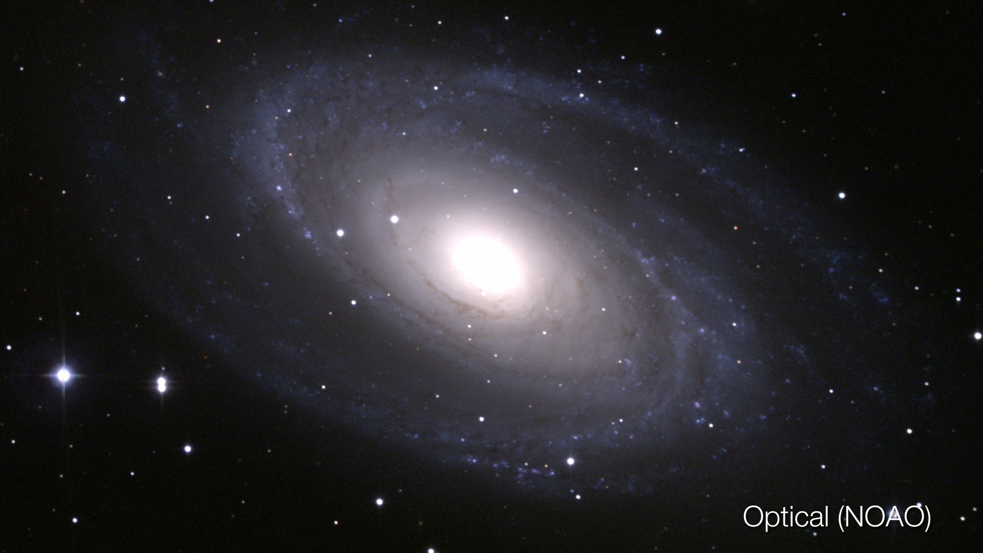 Star-forming regions in M81 become evident in infrared.