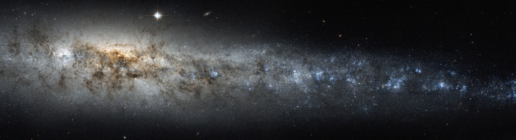 NGC 4631, the Whale galaxy, shows us the edge of its spiral, appearing similar to the single arm of the Milky Way visible to us in the night sky.