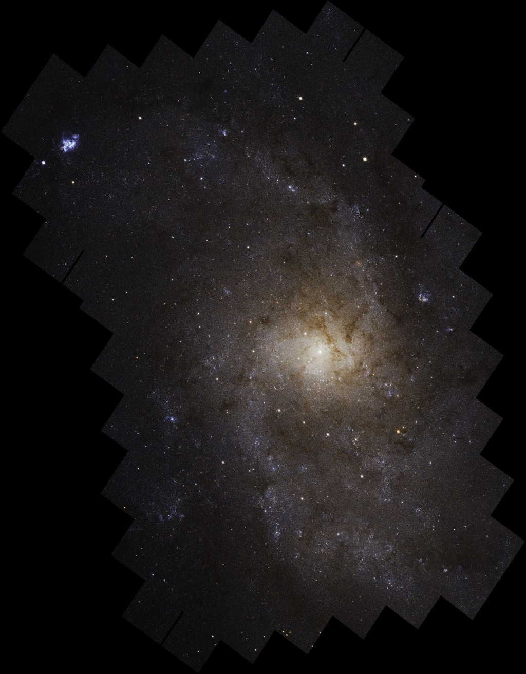 Full Hubble mosaic image of the Triangulum galaxy (M33), composed of 54 Hubble fields of view stitched together. The borders of individual Hubble images trace the jagged edge of the mosaic, which spans 19,400 light-years across.