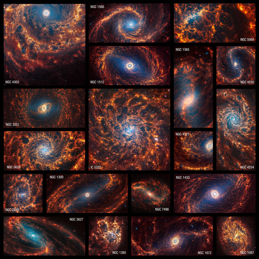 Collection of 19 face-on spiral galaxies from the James Webb Space Telescope in near- and mid-infrared light